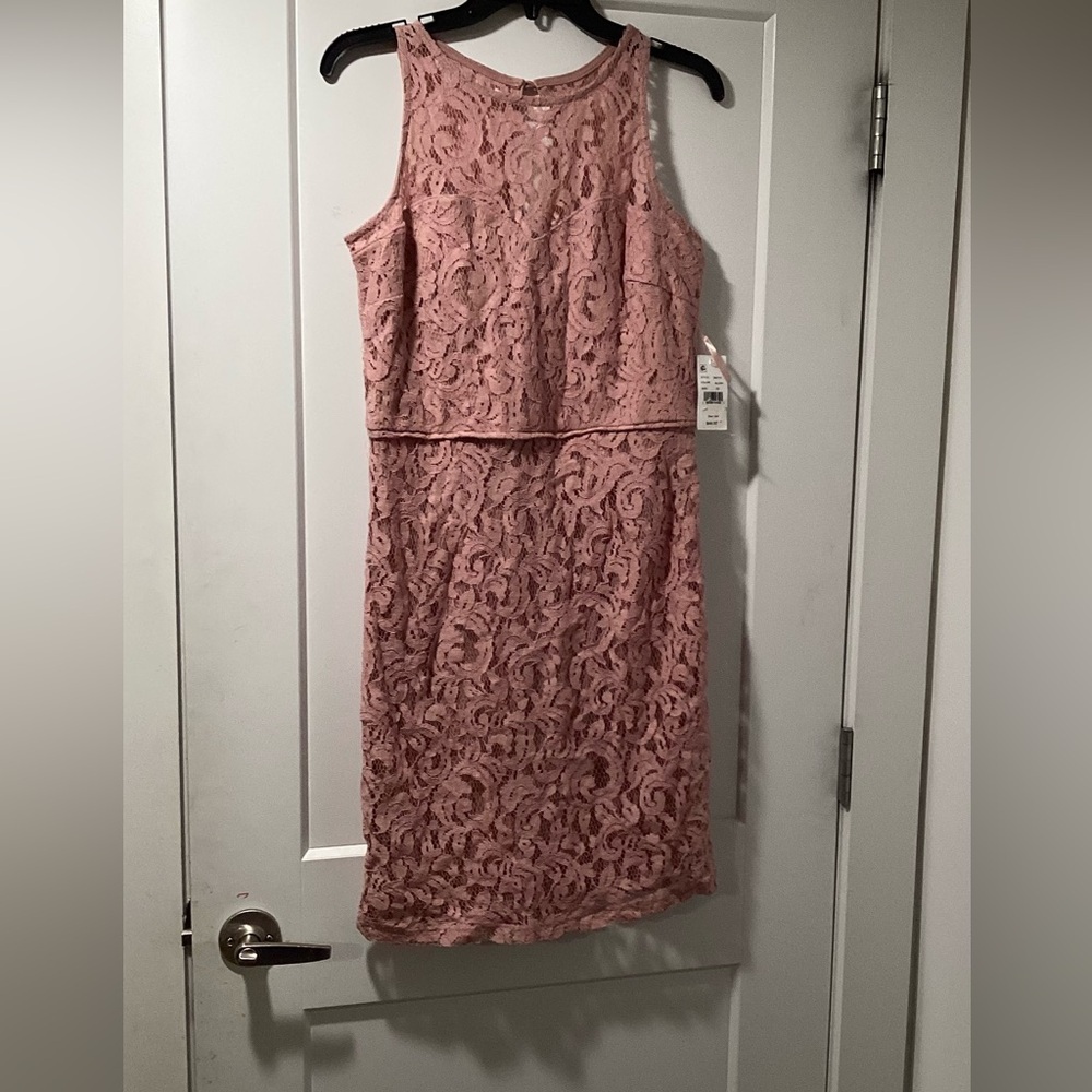 NWT Marina Size 10 Sleeveless Lace Sheath Dress Blush